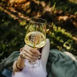 Sonnenhotel Weingut Roemmert Und Wellness ホテル