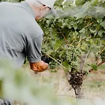 Sonnenhotel Weingut Roemmert Und Wellness