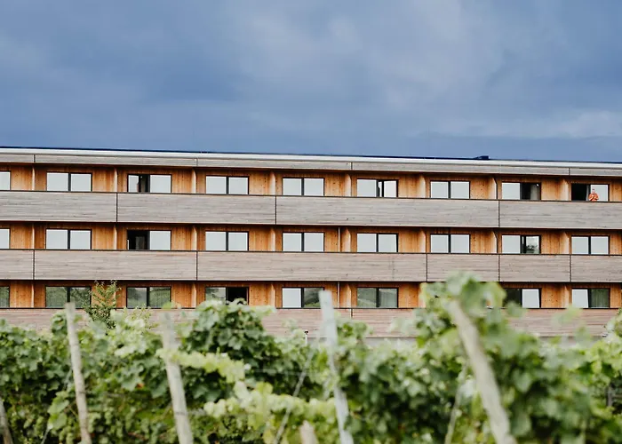 Sonnenhotel Weingut Roemmert Und Wellness