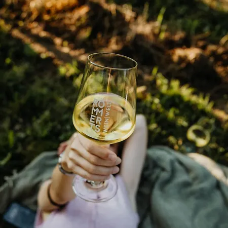 Sonnenhotel Weingut Roemmert Und Wellness ホテル